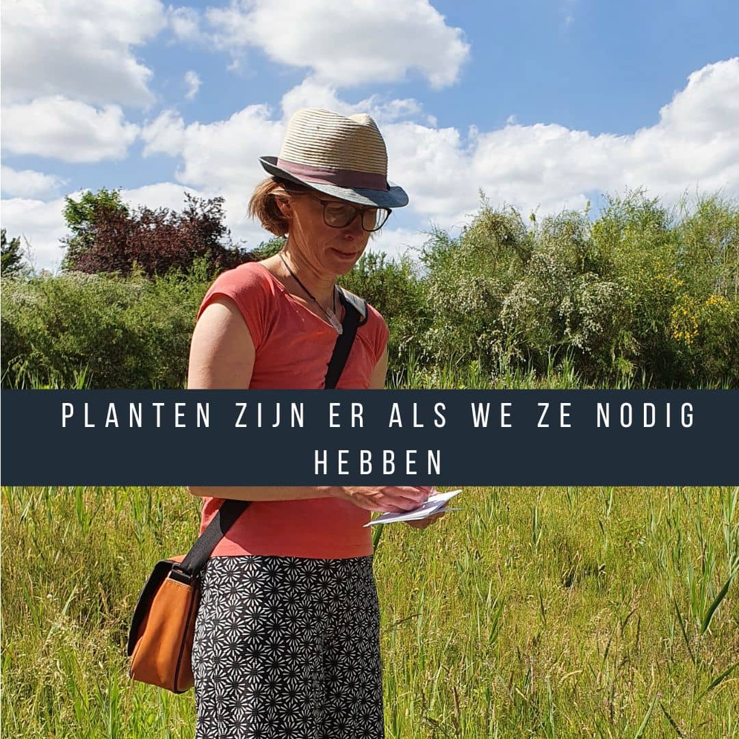 Planten zijn er als we ze nodig hebben